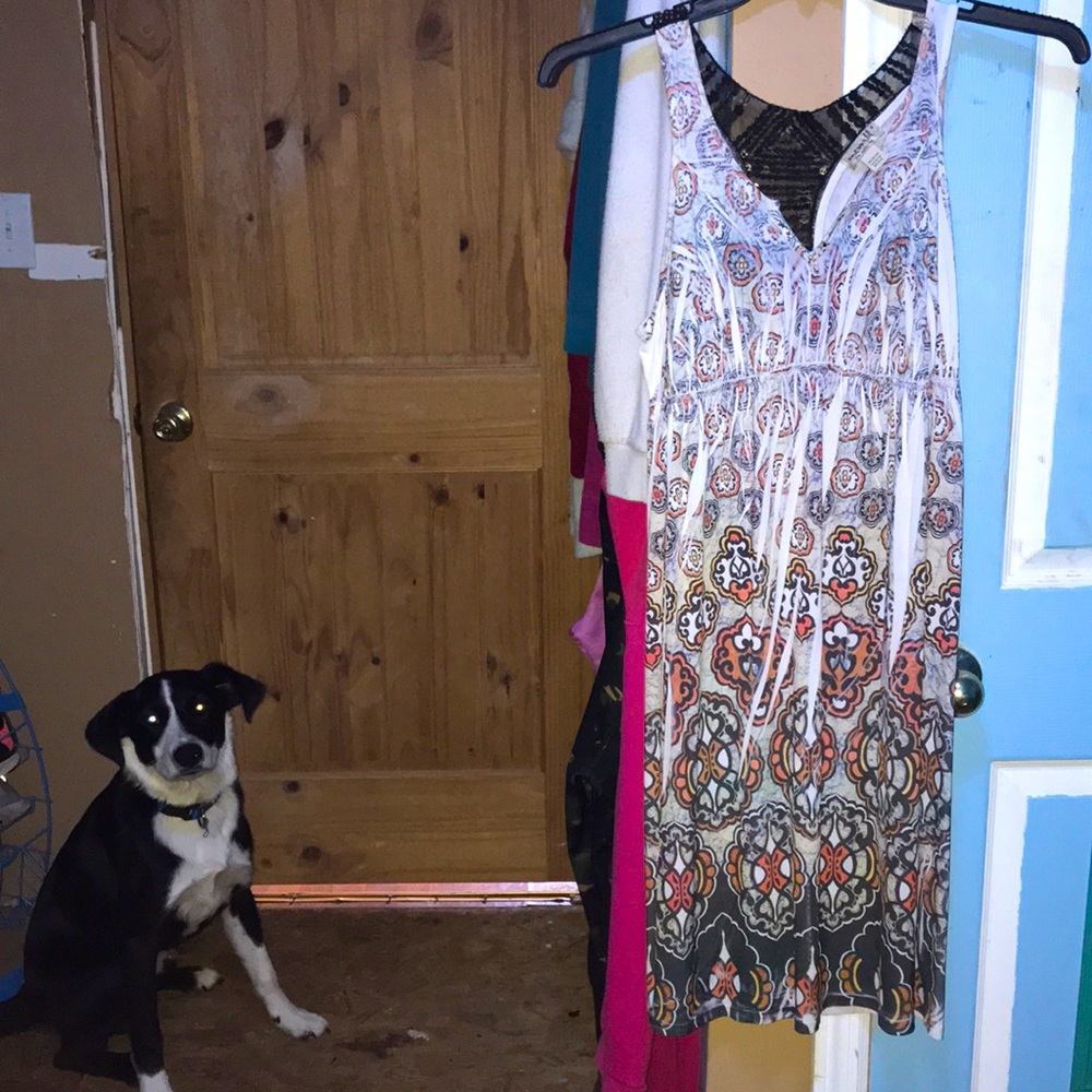 Multi color dress. Dog not for sale😂